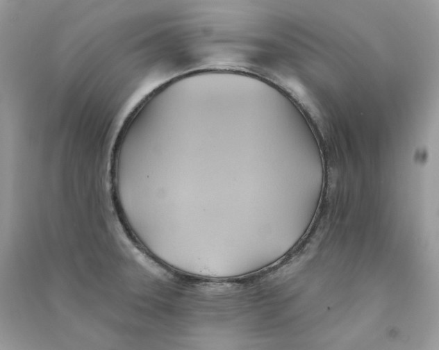 X0000090781331200708172120
