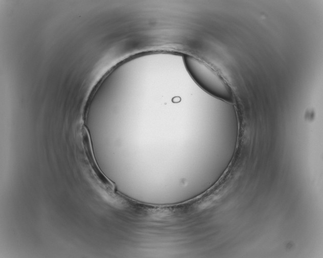 X0000090781332200708172120