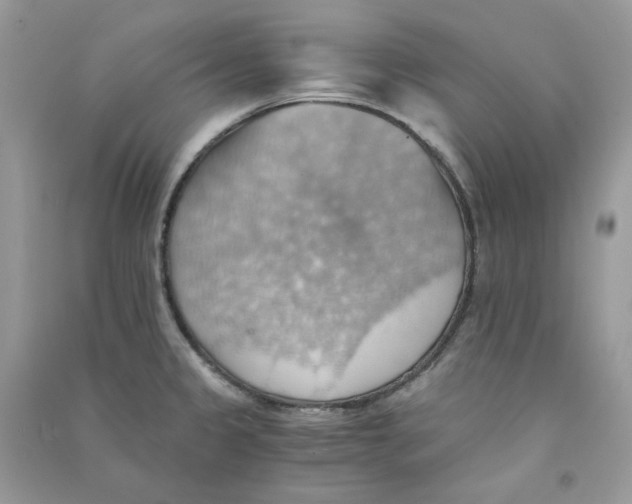 X0000090781333200708172120