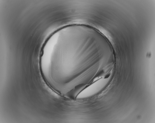 X0000090781334200708172120