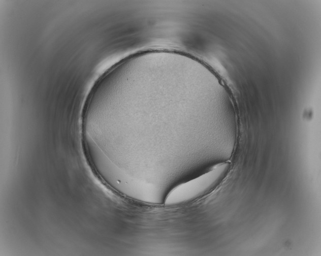 X0000090781335200708172120