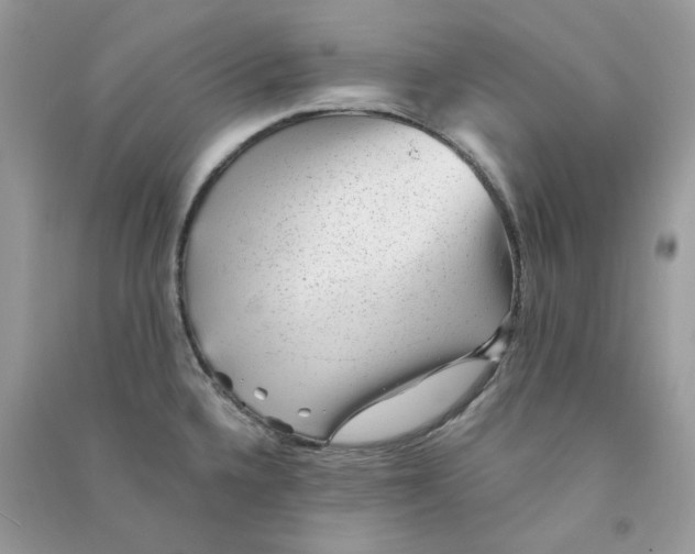 X0000090781336200708172120