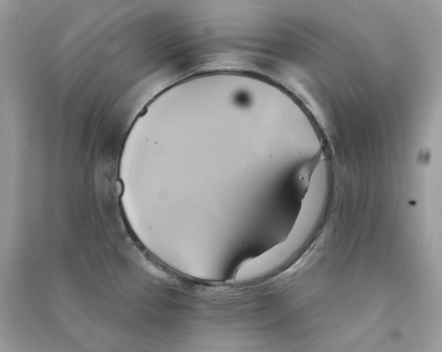 X0000090781337200708172120