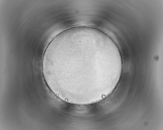 X0000090781338200708172120