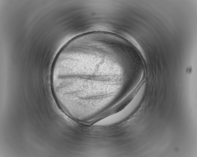X0000090781339200708172120