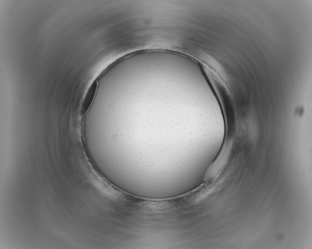 X0000090781340200708172120