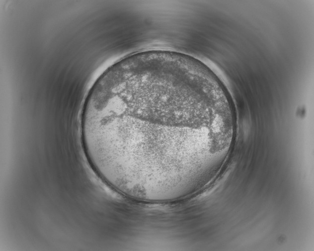 X0000090781341200708172120