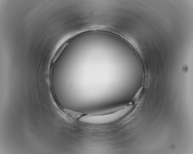X0000090781342200708172120
