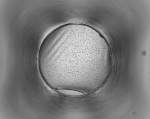 X0000090781343200708172120