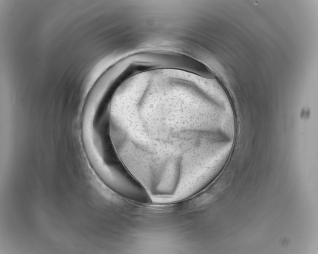 X0000090781344200708172120
