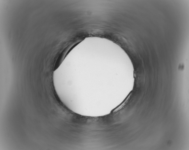 X0000090781345200708172120