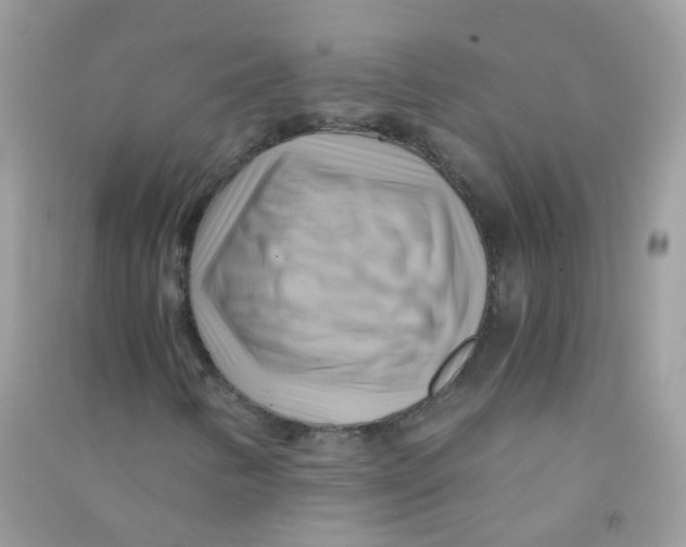 X0000090781346200708172120