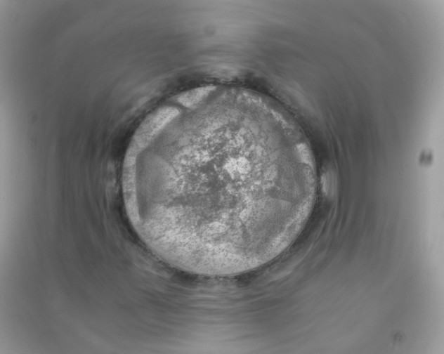 X0000090781347200708172120