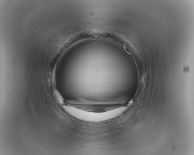 X0000090781348200708172120