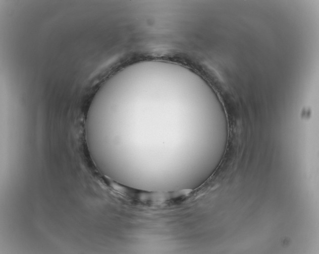 X0000090781349200708172120