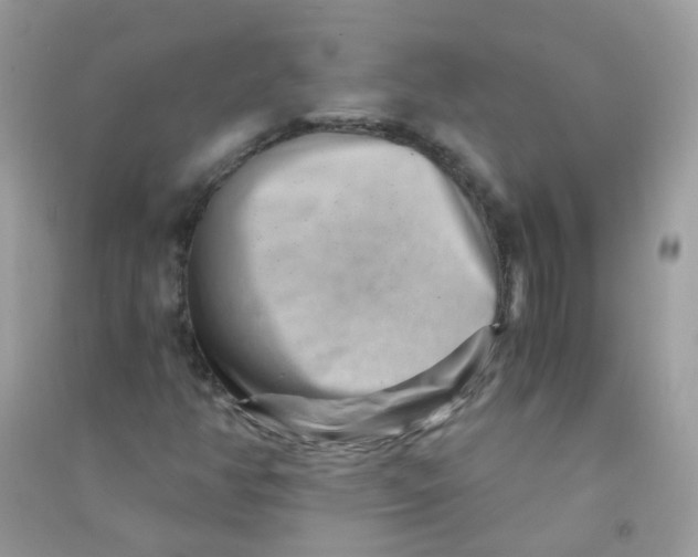 X0000090781350200708172120