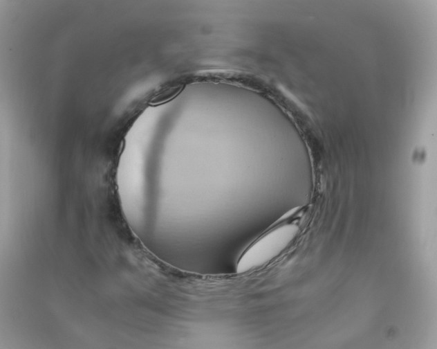 X0000090781351200708172120