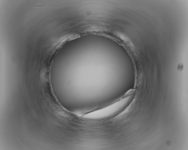 X0000090781353200708172119