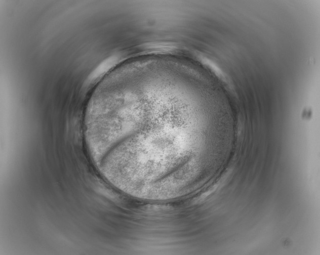 X0000090781354200708172119