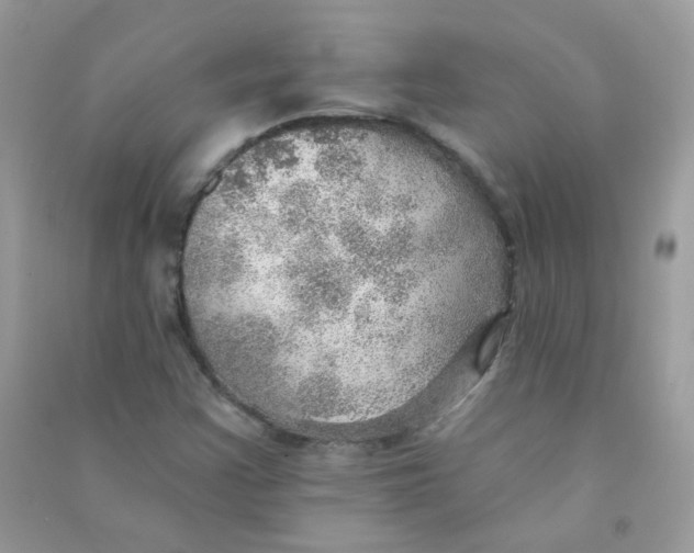 X0000090781355200708172119