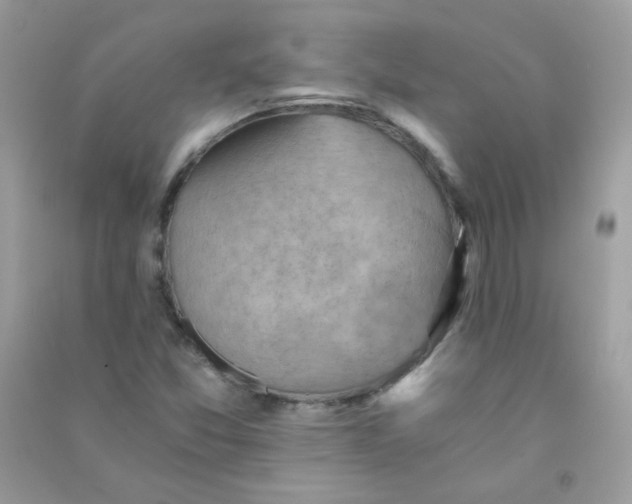 X0000090781357200708172119
