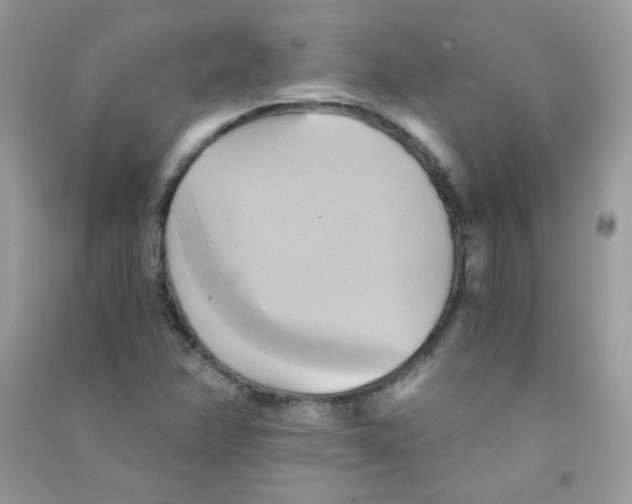 X0000090781358200708172119