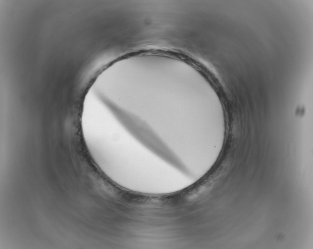 X0000090781359200708172119