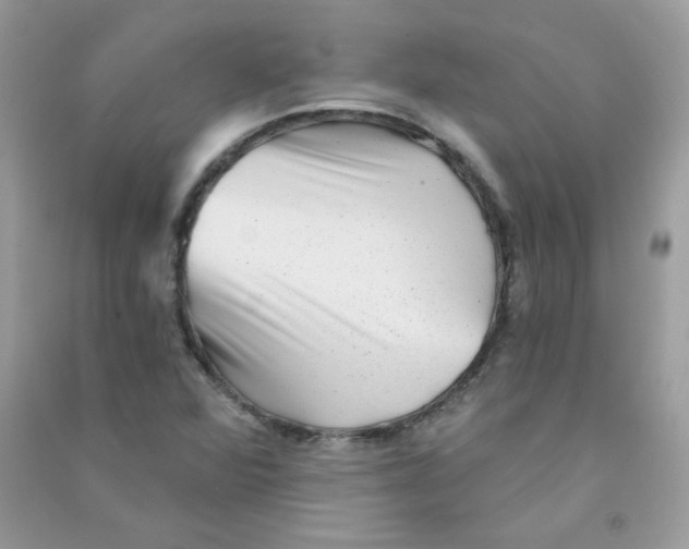X0000090781360200708172119