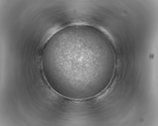 X0000090781361200708172119