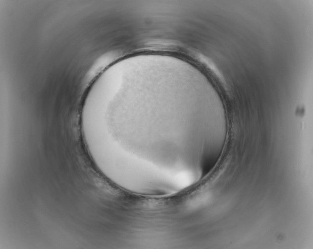 X0000090781362200708172119