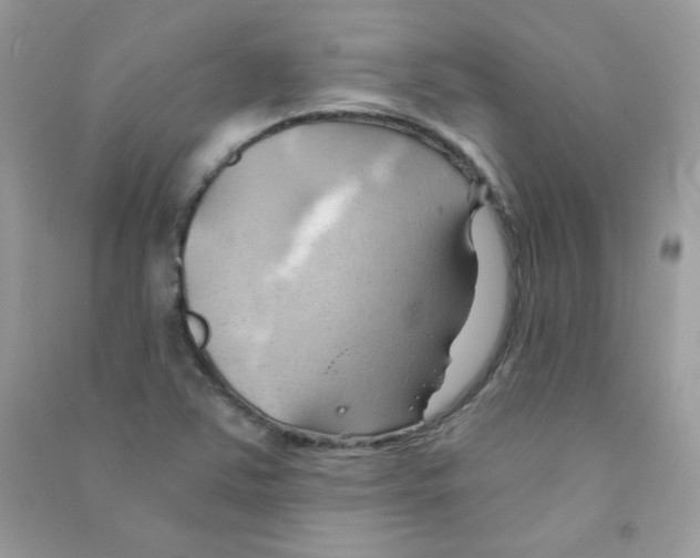 X0000090781363200708172119