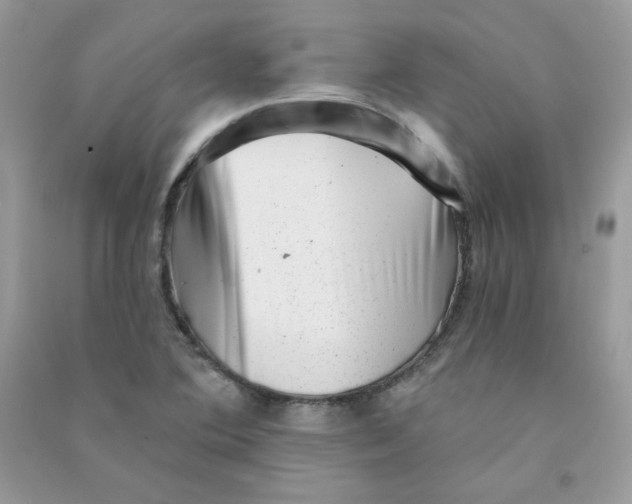 X0000090781364200708172119