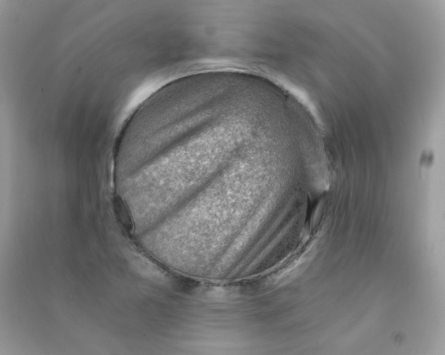 X0000090781365200708172119