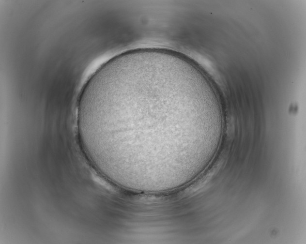 X0000090781366200708172119