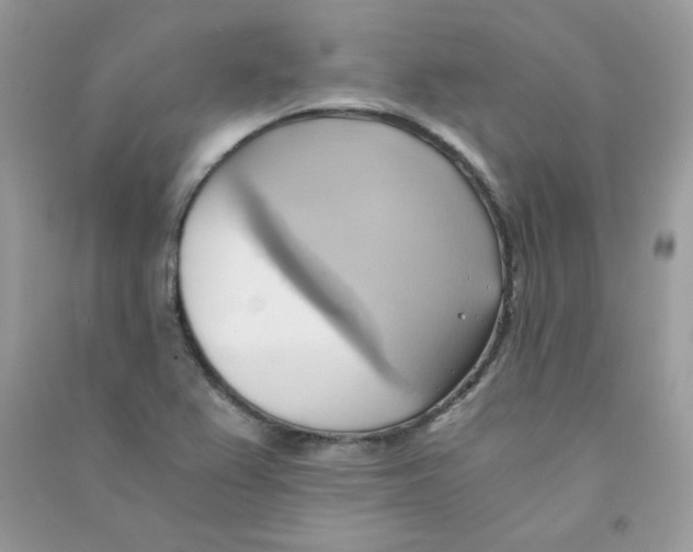 X0000090781367200708172119