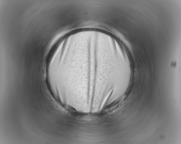 X0000090781368200708172119
