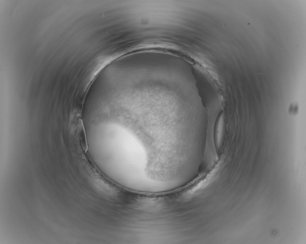 X0000090781369200708172119