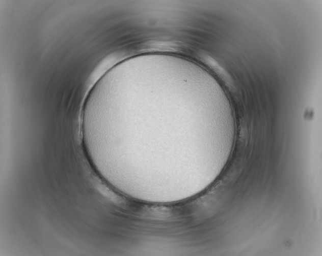 X0000090781370200708172119