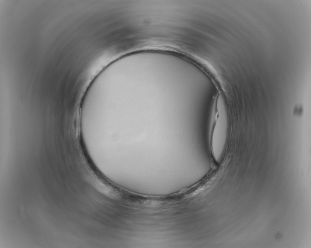 X0000090781371200708172119