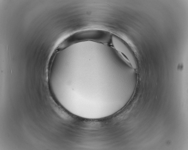 X0000090781372200708172119