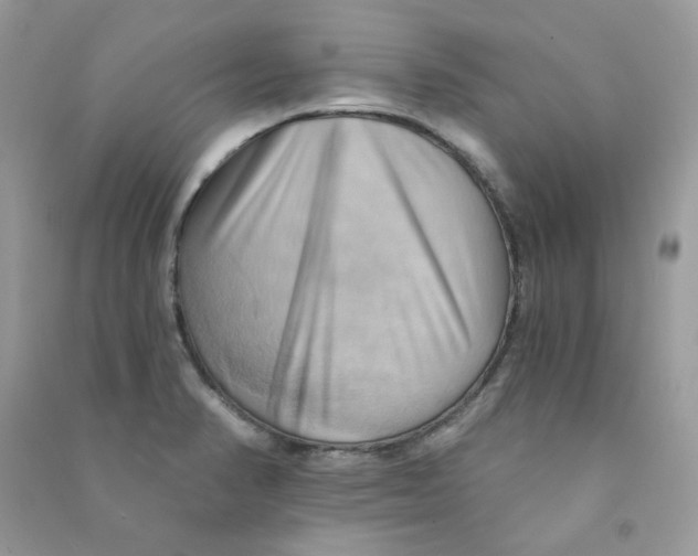 X0000090781374200708172119