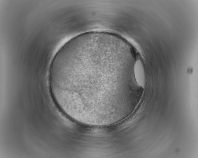 X0000090781375200708172119