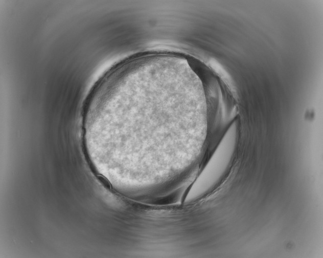 X0000090781376200708172119