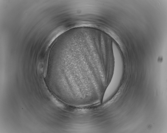 X0000090781377200708172119