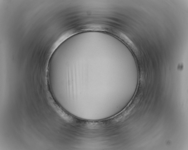 X0000090781378200708172119