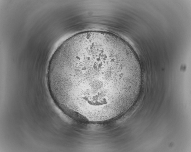 X0000090781379200708172119