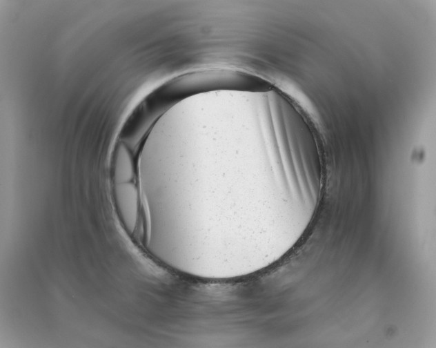 X0000090781380200708172119