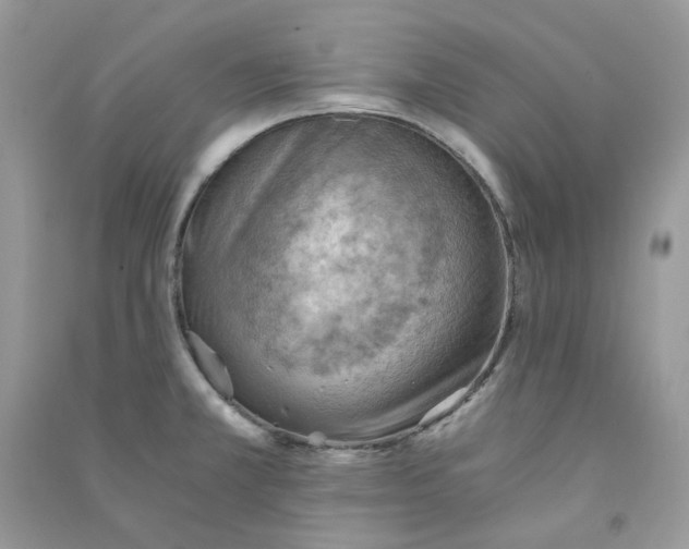X0000090781381200708172119