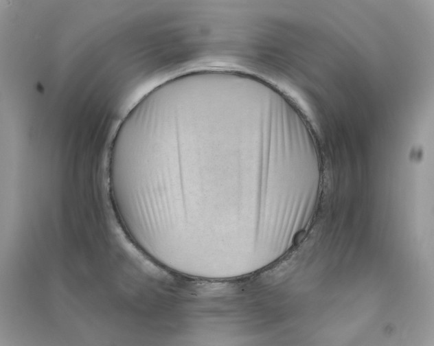 X0000090781382200708172119