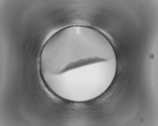 X0000090781383200708172119